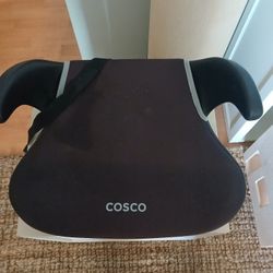 Cosco Car Seat