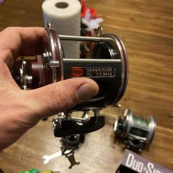 Penn Senator 4/0 Reel 