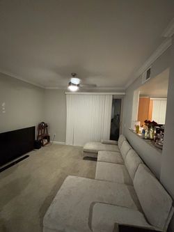Wayfair couch