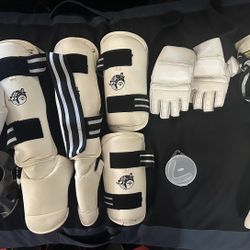 Full set TKD sparring gear with Bag