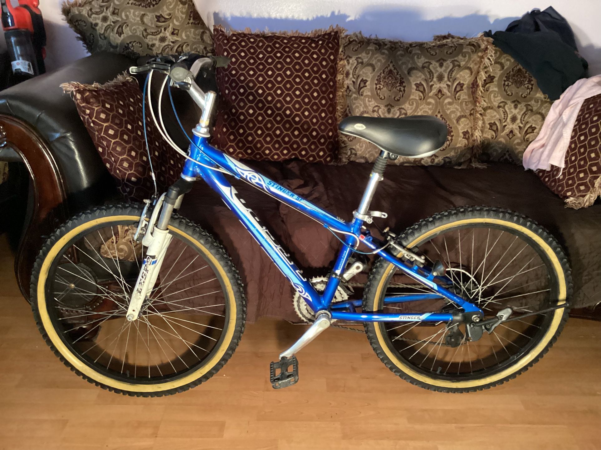 24” Mountain Lespo Aluminum Bike For Womens 7 Speeds Excellent Condition Tires And Seat News $135