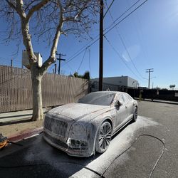 🏎️CaR🧽 Detail🏎️