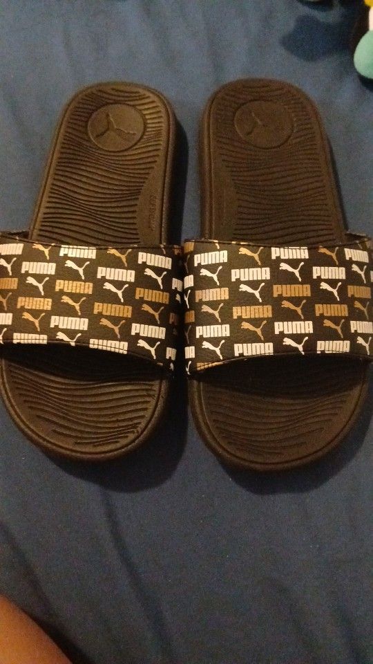 Pumas Slides