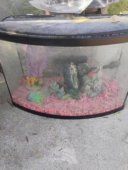 35 Gallon Aquarium