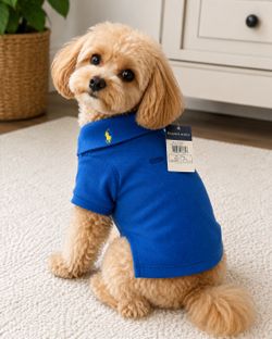 Ralph Lauren Blue Dog Polo Shirt Medium M 9-12 lb Yellow Pony NWT Pet Apparel