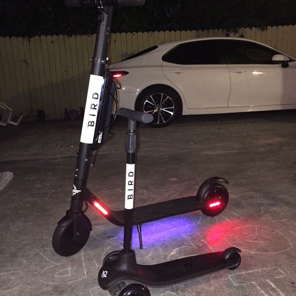 Bargain Deal!! Great Deal!! Brand New Manual KickPowered Segway Bird Scooter for Kids Birdie