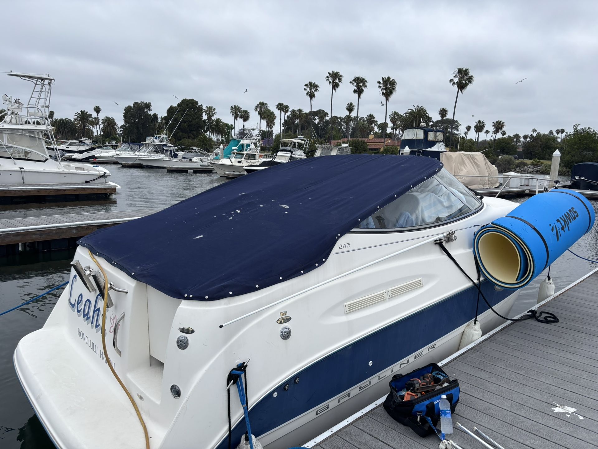 2005 Bayliner 245s