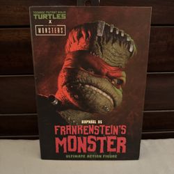 Ninja Turtles Frankenstein Monster