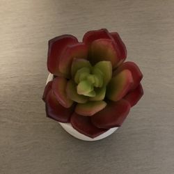 Mini Artificial Succulent Plant