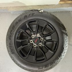 20 inch wheels with 265-60R20 Wildpeak A/T3