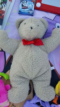Pottery barn kids bear brand new