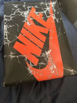 Air Jordan 1 Shattered Backboard 2025 sz 11