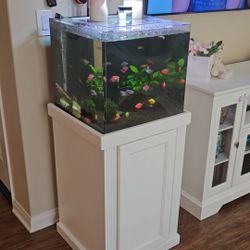 Beautiful 25 gallon Acrylic Fish Tank Aquarium Cube (18x18x18) 