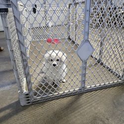 Playpen For Small Dogs
