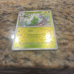 Metapod Pokémon Card