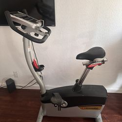 Schwinn Stand Up Exercise Bike