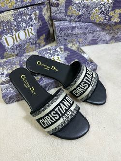 Dior slides