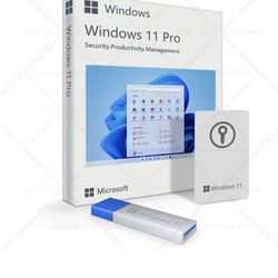 Windows 11 Home 64 Bit USB