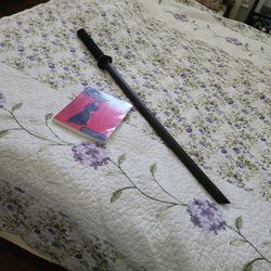 Flashing Steel Mastering Eishin-Ryu Swordsmanship Samurai