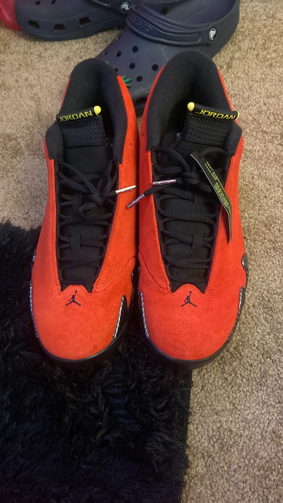 Ferrari 14s 11.5 Brand New