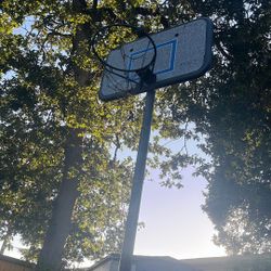 Lifetime Basketball Hoop 