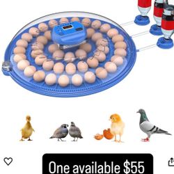 52 Egg chicken incubator NeW