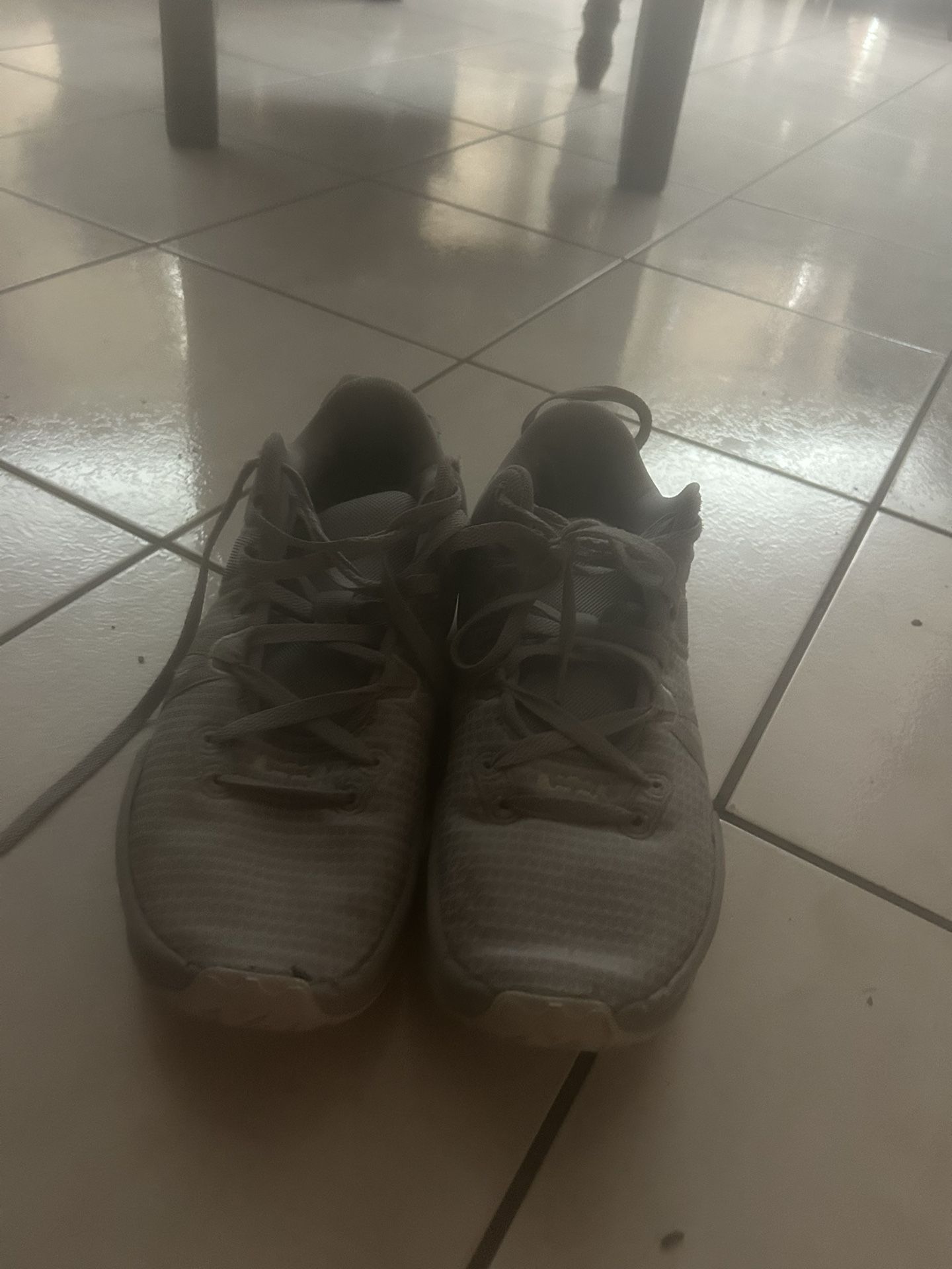 LeBron 22s 10.5 Men’s
