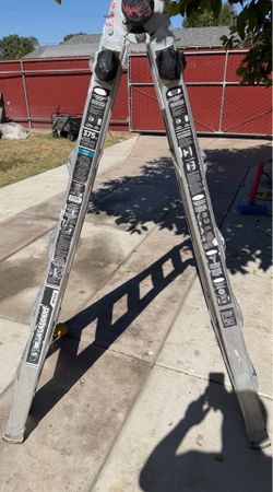 Gorilla ladder