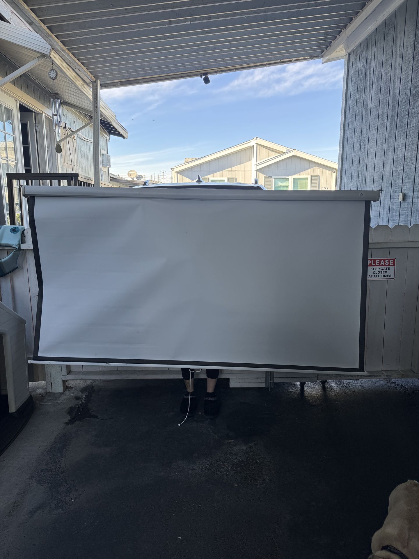 Projector with stand and two screens