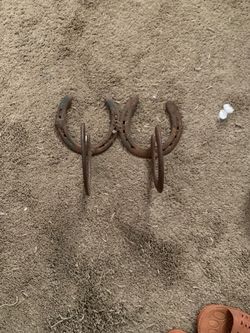 Horseshoe coat hanger