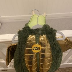 Dragon Costume $15