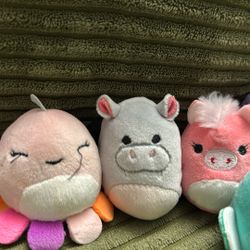 Squishville  Squishmallows  