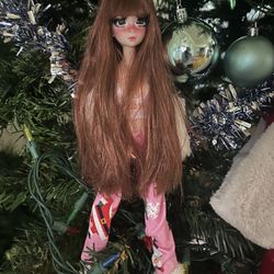 Custom Made Bjd Doll with Articulated Body and Custom Clothing