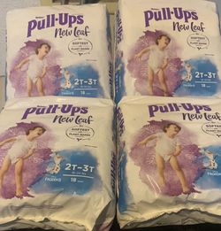 PULL UPS 72 Count SIZE 2T-3T