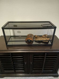 Reptile tank.