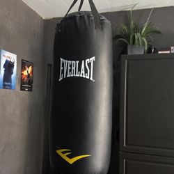 Everlast Punching Bag