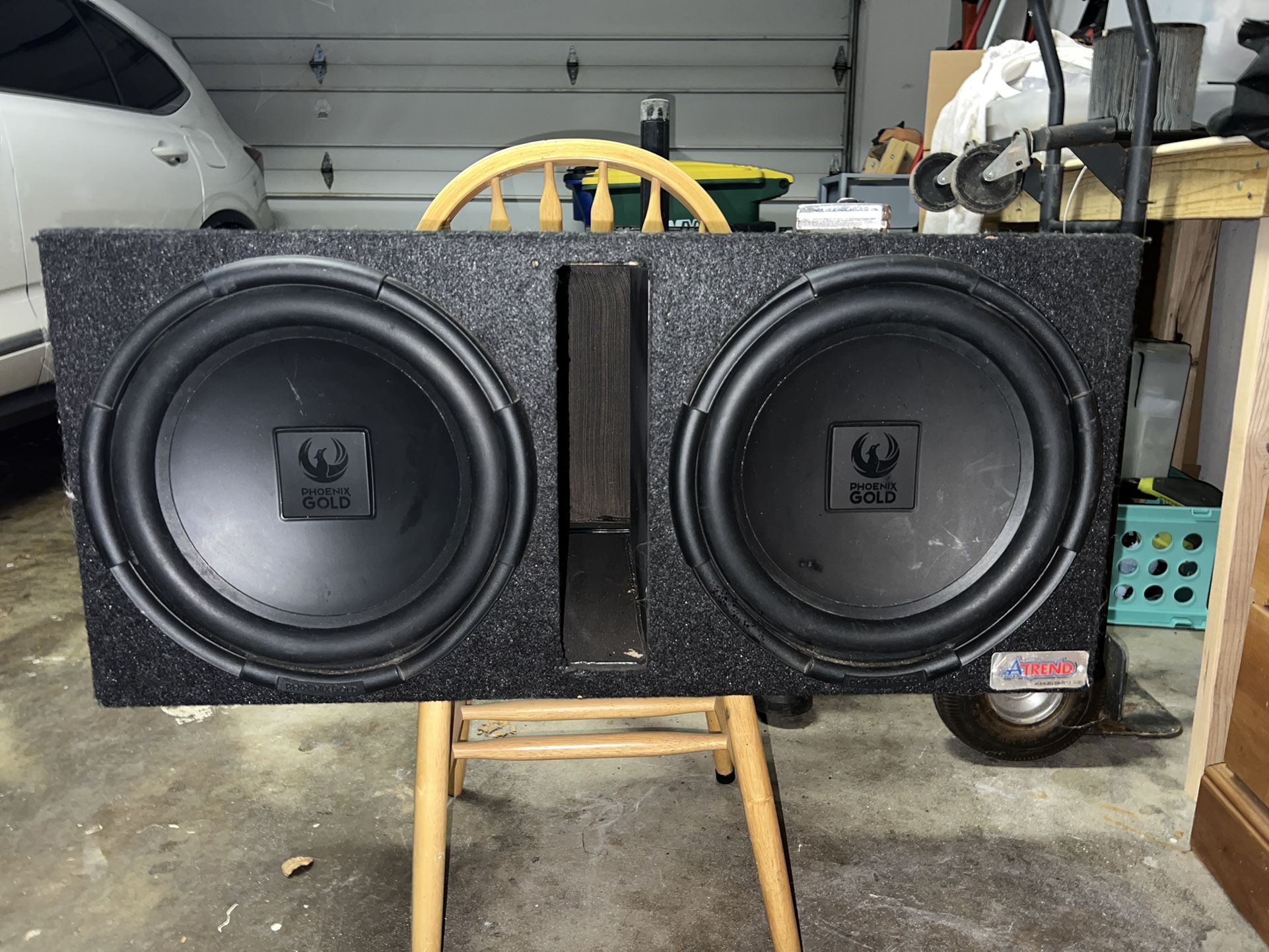 Ported 12" Phoenix Gold Subs