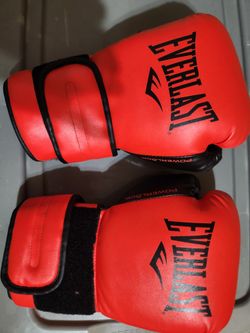 Everlast Powerlock 2 Boxing Gloves