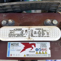 Trojan 12 V Batteries