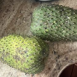 Fresh Soursop from Grenada. Reserve Yours!