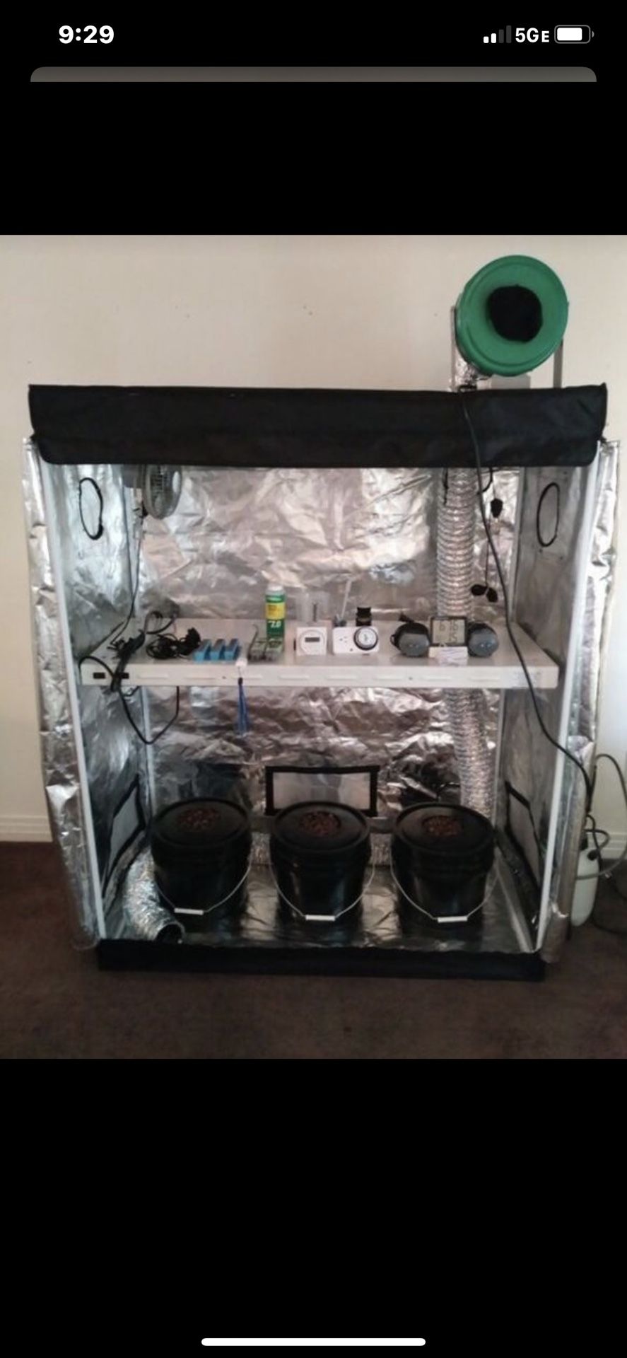 2x6x4 tent and setup