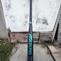 Mizuno 33 In Bat