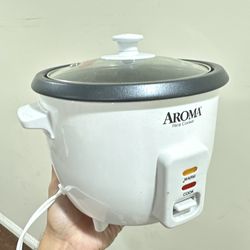 Rice Cooker