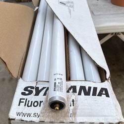 T12 6 feet fluorescent bulbs