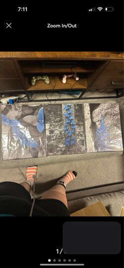 Three Canvas Pictures