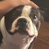 Jack