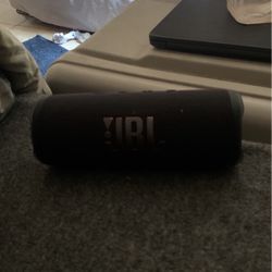 Jbl Flip 6