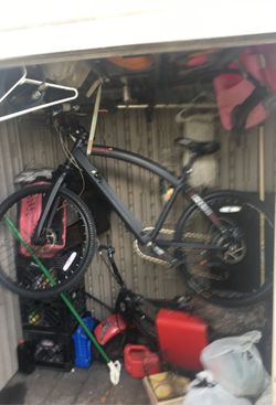 Electric bike