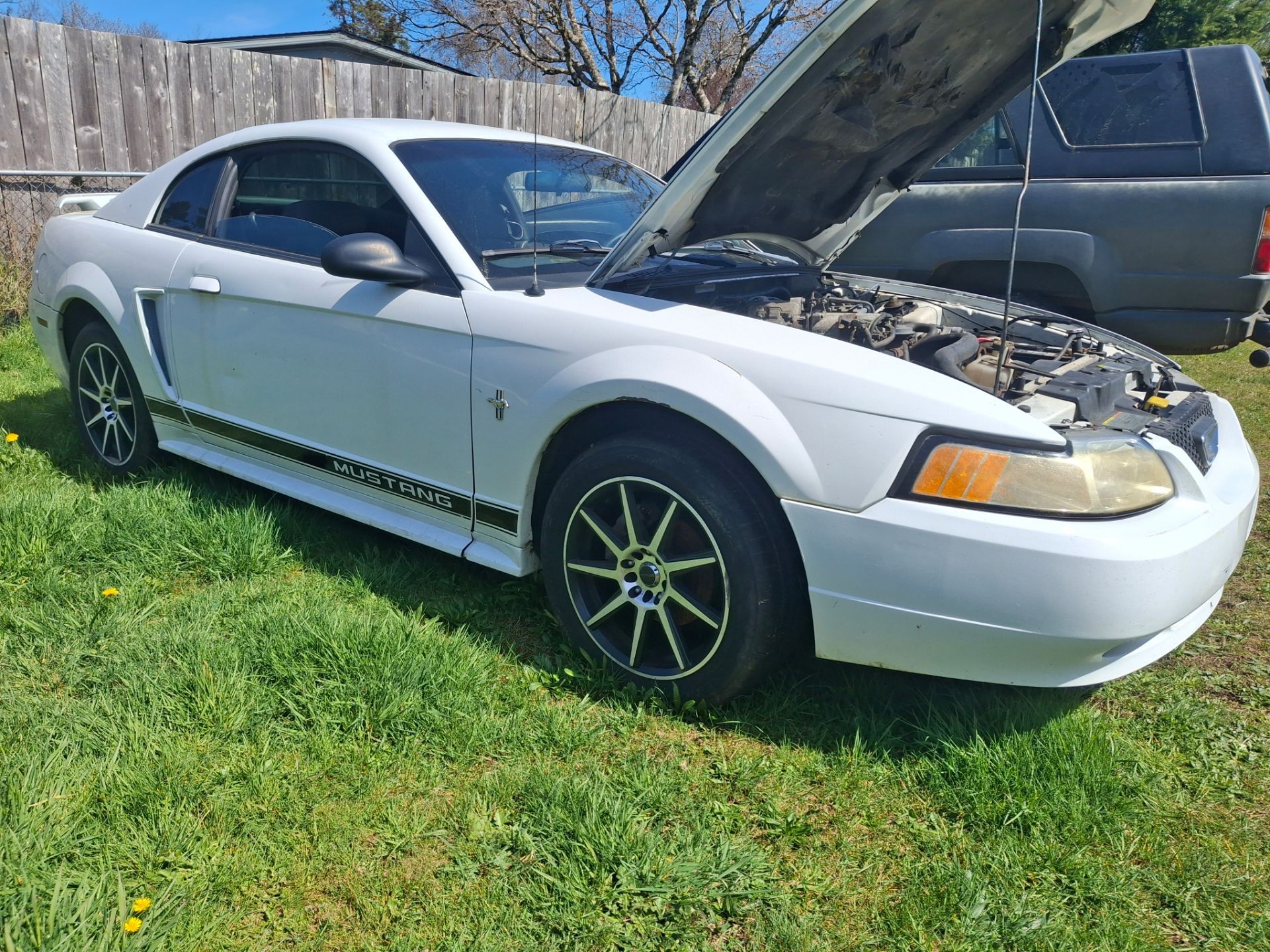 2002 Ford Mustang