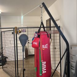 Everlast Bag And Stand 